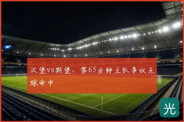 汉堡vs斯堡,第65分钟主队争议点球命中