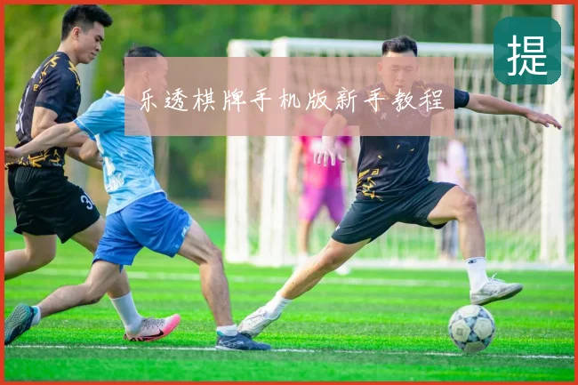 乐透棋牌手机版新手教程